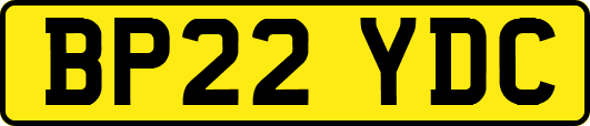 BP22YDC