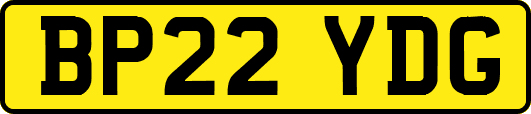 BP22YDG