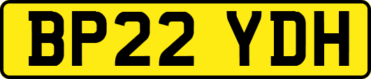 BP22YDH