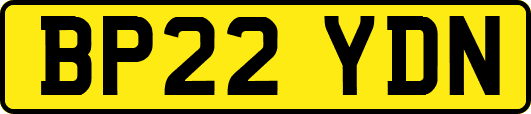 BP22YDN