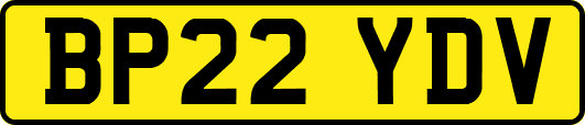 BP22YDV