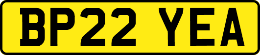BP22YEA