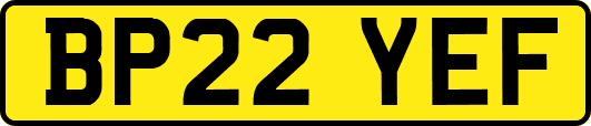 BP22YEF