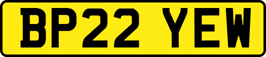 BP22YEW