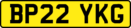 BP22YKG