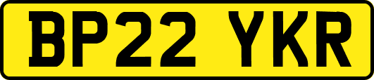BP22YKR