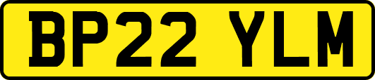 BP22YLM