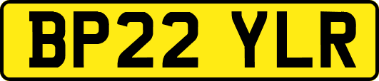 BP22YLR