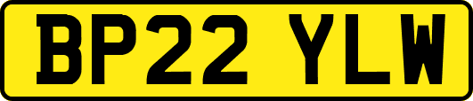 BP22YLW