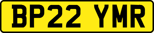 BP22YMR