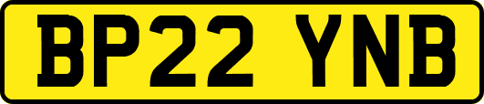 BP22YNB