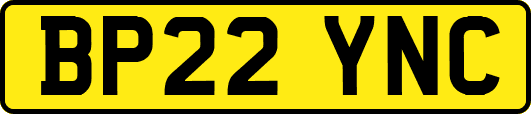 BP22YNC