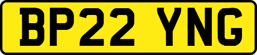 BP22YNG