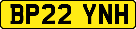 BP22YNH