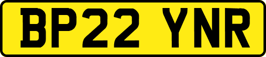 BP22YNR