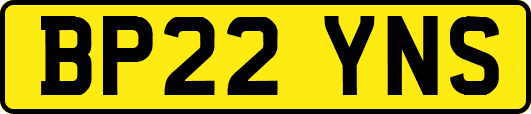 BP22YNS