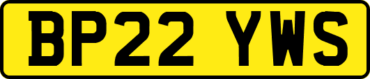 BP22YWS