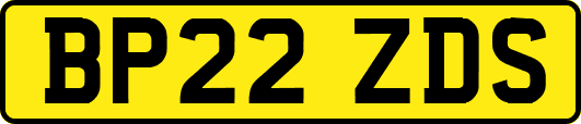 BP22ZDS