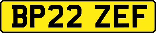 BP22ZEF