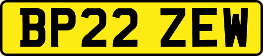 BP22ZEW