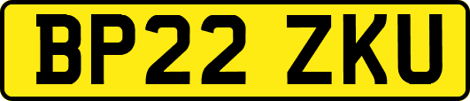 BP22ZKU