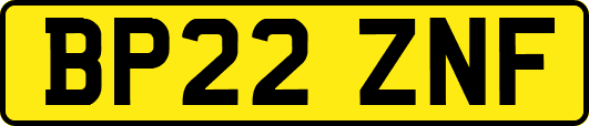 BP22ZNF