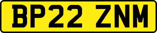 BP22ZNM