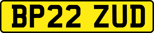 BP22ZUD