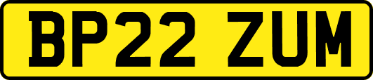 BP22ZUM