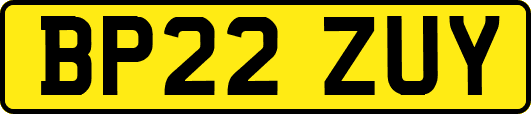 BP22ZUY