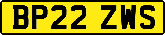 BP22ZWS