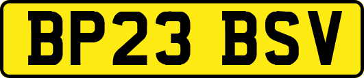 BP23BSV