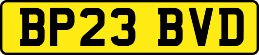 BP23BVD