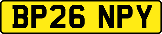 BP26NPY
