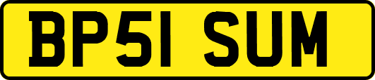 BP51SUM
