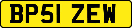 BP51ZEW