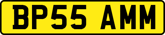 BP55AMM