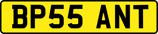 BP55ANT
