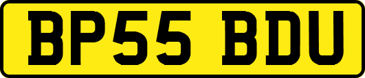 BP55BDU