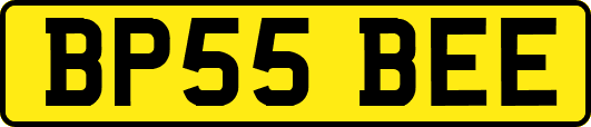 BP55BEE