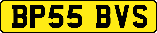 BP55BVS