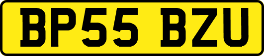 BP55BZU