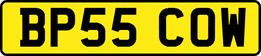 BP55COW