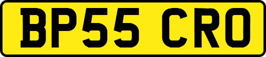 BP55CRO