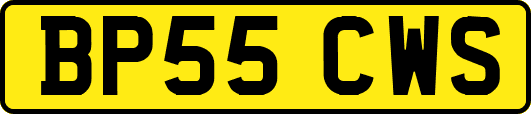 BP55CWS