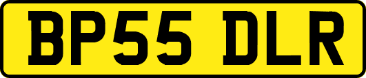 BP55DLR