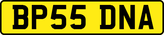BP55DNA