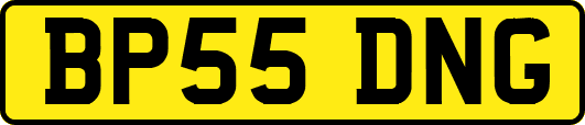 BP55DNG