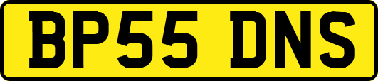 BP55DNS