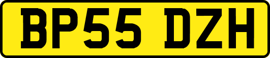 BP55DZH